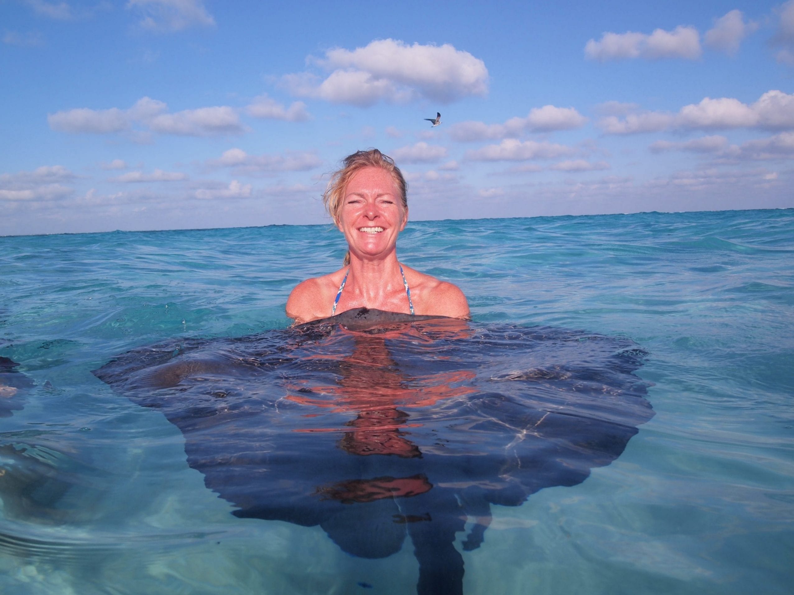 making new friends at stingray city grand cayman -sandbar