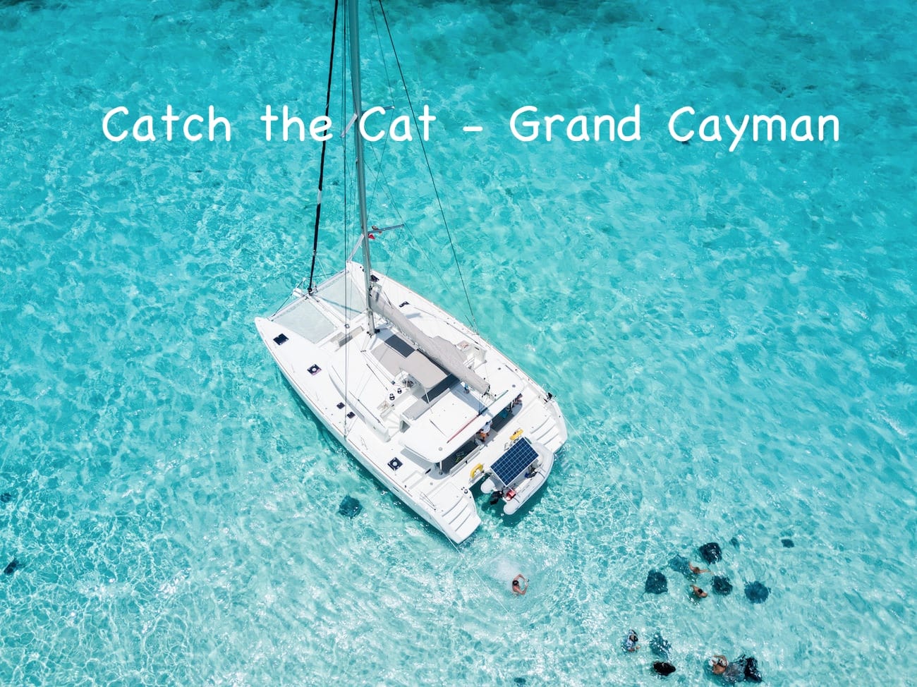 Catch the Cat at stingray city grand cayman.