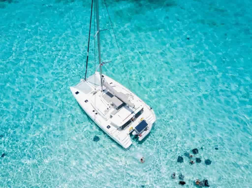 Catch-the-Cat-at-stingray-city-grand-cayman-e1612890483339-1024×767-1-min-min Catch-the-Cat-at-stingray-city-grand-cayman-e1612890483339-1024x767-1-min-min