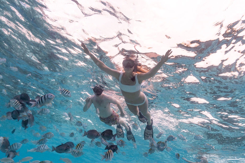 c6379249-3292-49a6-a897-cb010eb54643 c6379249-3292-49a6-a897-cb010eb54643