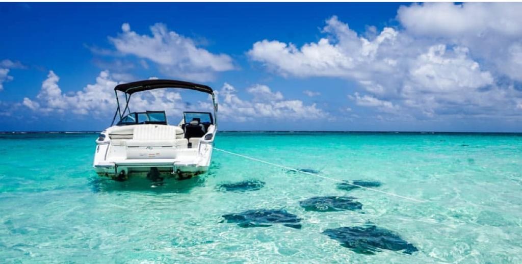 f82199c4-7cd8-4656-983f-875c724aafba